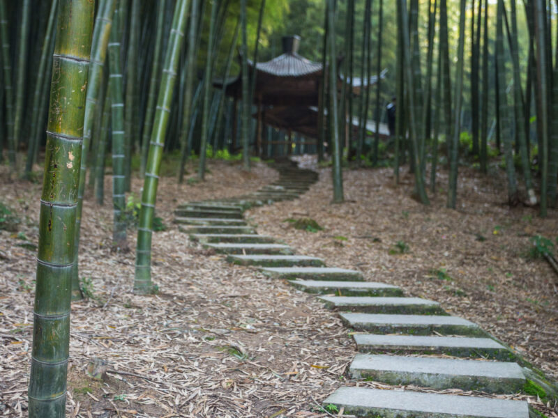 Acupressure Walkway